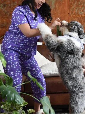 NWT CON.STRUCT Line Floral Paw Print Pajama Pants Set